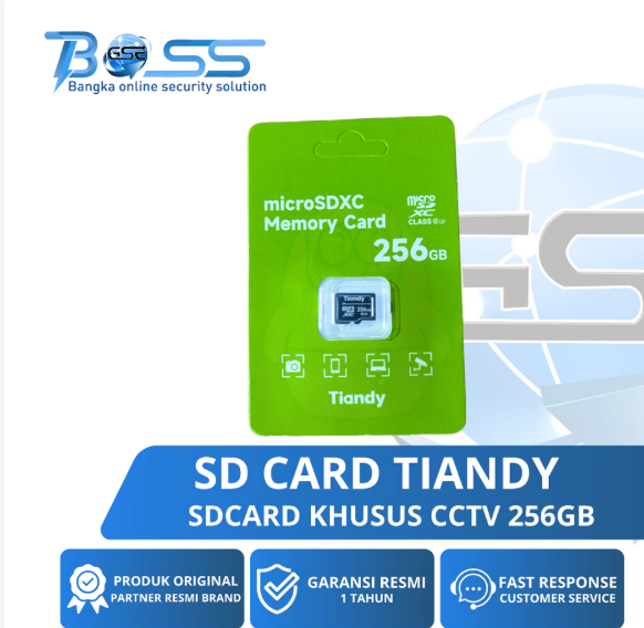 SD CARD TIANDY 256GB